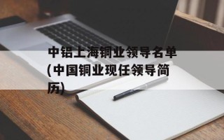 中铝上海铜业领导名单(中国铜业现任领导简历)