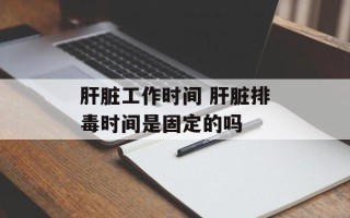 肝脏工作时间 肝脏排毒时间是固定的吗