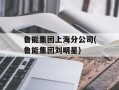 鲁能集团上海分公司(鲁能集团刘明星)