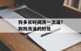 狗多长时间洗一次澡？狗狗洗澡的好处