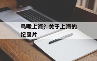 鸟瞰上海？关于上海的纪录片