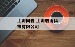 上海同岩 上海岩山科技有限公司