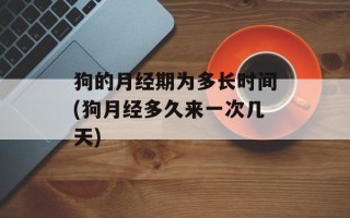 狗的月经期为多长时间(狗月经多久来一次几天)