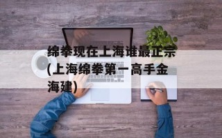 绵拳现在上海谁最正宗(上海绵拳第一高手金海建)