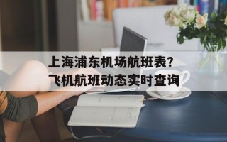 上海浦东机场航班表？飞机航班动态实时查询