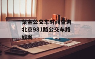 紫金公交车时间查询 北京981路公交车路线图