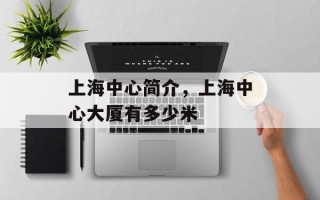 上海中心简介，上海中心大厦有多少米