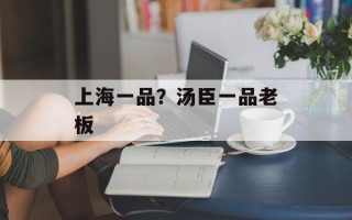上海一品？汤臣一品老板