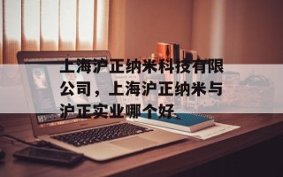 上海沪正纳米科技有限公司，上海沪正纳米与沪正实业哪个好