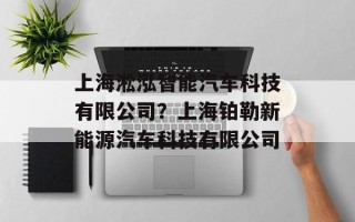 上海淞泓智能汽车科技有限公司？上海铂勒新能源汽车科技有限公司