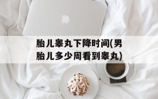 胎儿睾丸下降时间(男胎儿多少周看到睾丸)