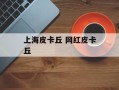 上海皮卡丘 网红皮卡丘