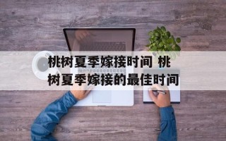 桃树夏季嫁接时间 桃树夏季嫁接的最佳时间