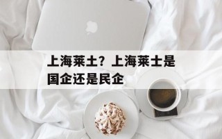 上海莱土？上海莱士是国企还是民企