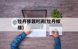 牡丹移栽时间(牡丹嫁接)
