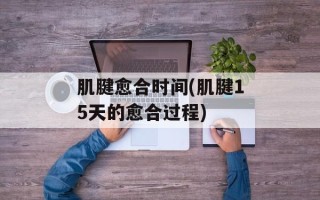 肌腱愈合时间(肌腱15天的愈合过程)
