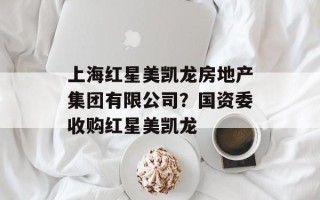 上海红星美凯龙房地产集团有限公司？国资委收购红星美凯龙