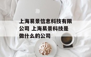 上海易景信息科技有限公司 上海易景科技是做什么的公司