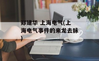 郑建华 上海电气(上海电气事件的来龙去脉)