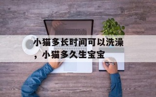 小猫多长时间可以洗澡，小猫多久生宝宝