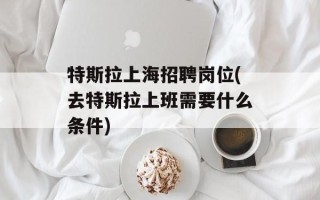 特斯拉上海招聘岗位(去特斯拉上班需要什么条件)