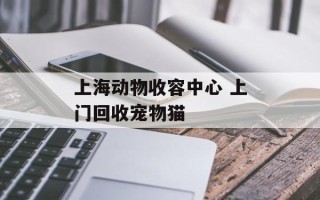 上海动物收容中心 上门回收宠物猫