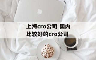上海cro公司 国内比较好的cro公司