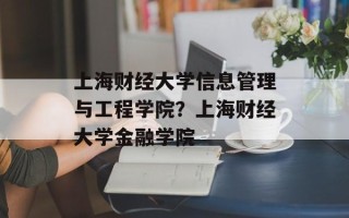 上海财经大学信息管理与工程学院？上海财经大学金融学院