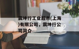 震坤行工业超市(上海)有限公司，震坤行公司简介