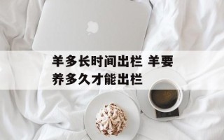羊多长时间出栏 羊要养多久才能出栏