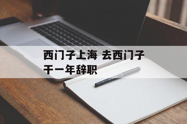 西门子上海 去西门子干一年辞职-第1张图片-