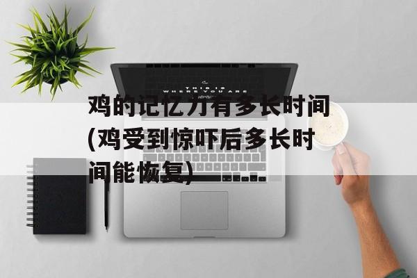 鸡的记忆力有多长时间(鸡受到惊吓后多长时间能恢复)-第1张图片-