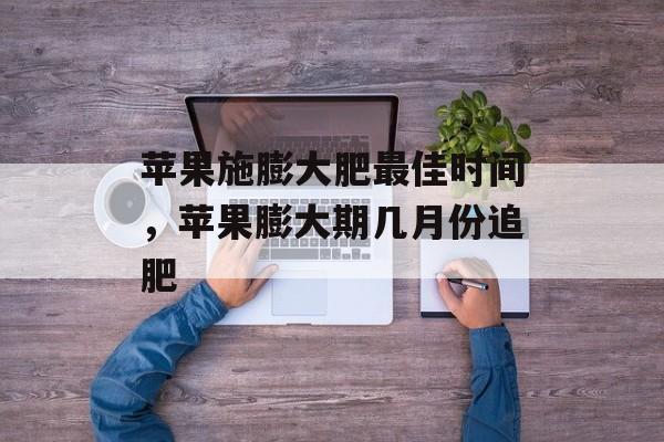 苹果施膨大肥最佳时间，苹果膨大期几月份追肥-第1张图片-
