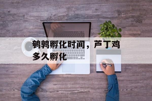 鹌鹑孵化时间，芦丁鸡多久孵化-第1张图片-
