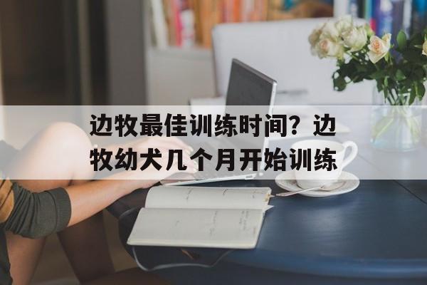 边牧最佳训练时间？边牧幼犬几个月开始训练-第1张图片-