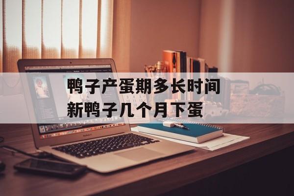 鸭子产蛋期多长时间 新鸭子几个月下蛋-第1张图片-