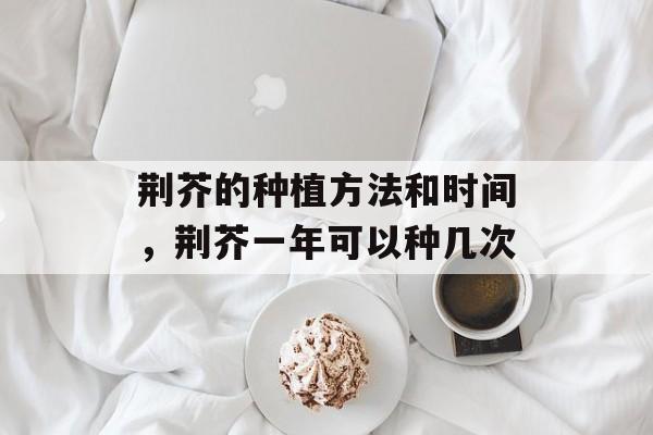荆芥的种植方法和时间，荆芥一年可以种几次-第1张图片-