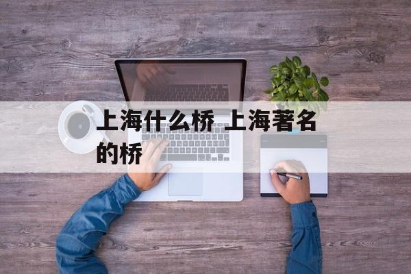 上海什么桥 上海著名的桥-第1张图片-