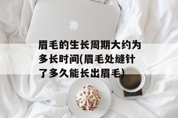 眉毛的生长周期大约为多长时间(眉毛处缝针了多久能长出眉毛)-第1张图片-