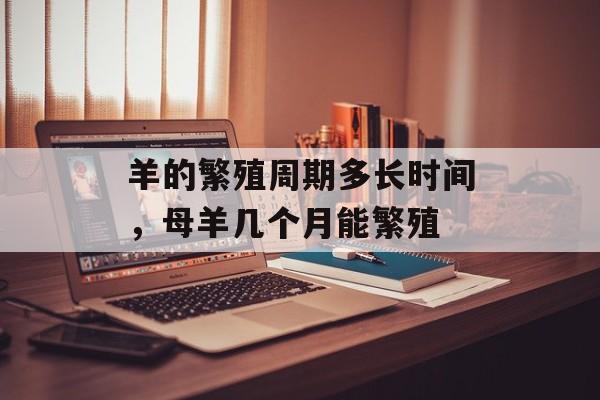 羊的繁殖周期多长时间，母羊几个月能繁殖-第1张图片-