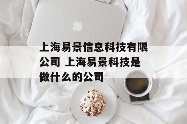 上海易景信息科技有限公司 上海易景科技是做什么的公司-第1张图片-