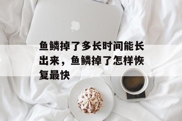 鱼鳞掉了多长时间能长出来，鱼鳞掉了怎样恢复最快-第1张图片-