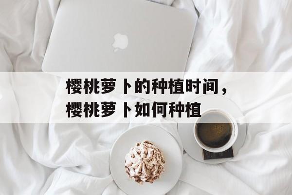 樱桃萝卜的种植时间，樱桃萝卜如何种植-第1张图片-