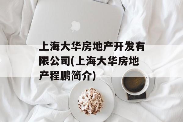 上海大华房地产开发有限公司(上海大华房地产程鹏简介)-第1张图片-