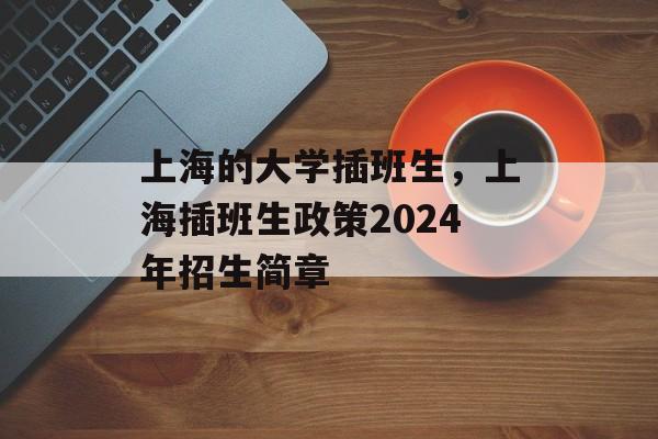 上海的大学插班生，上海插班生政策2024年招生简章-第1张图片-