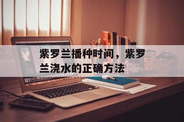 紫罗兰播种时间，紫罗兰浇水的正确方法-第1张图片-