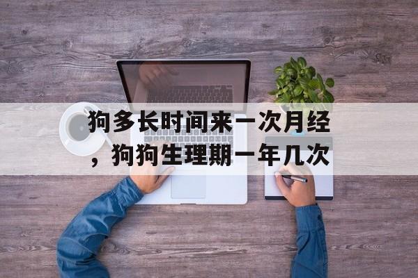 狗多长时间来一次月经，狗狗生理期一年几次-第1张图片-