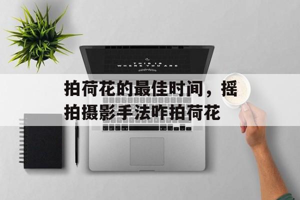拍荷花的最佳时间，摇拍摄影手法咋拍荷花-第1张图片-
