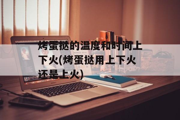 烤蛋挞的温度和时间上下火(烤蛋挞用上下火还是上火)-第1张图片-