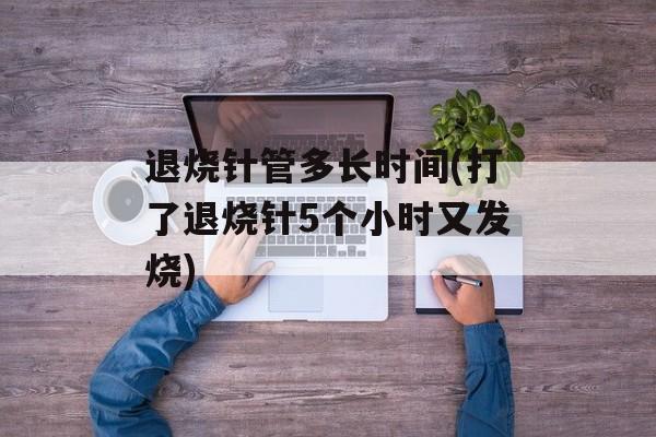 退烧针管多长时间(打了退烧针5个小时又发烧)-第1张图片-